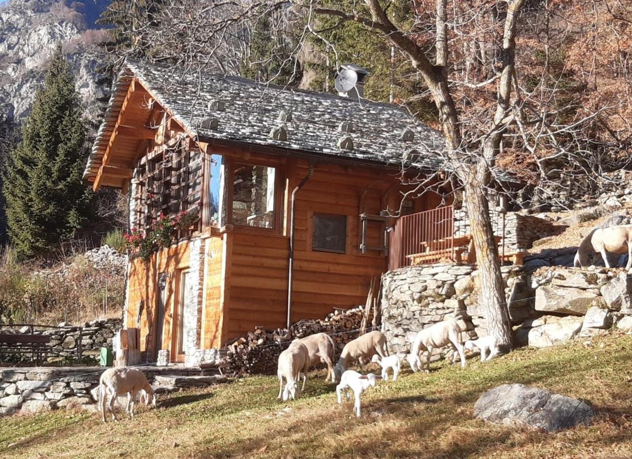 Baita Del Noce Mollia Eksteriør billede